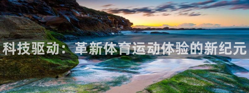 yy易游官方正版app娱乐平台：科技驱动：革新体育运