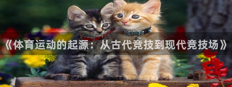 注册yy易游官方正版app：《体育运动的起源：从古代