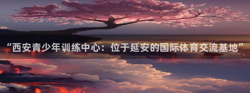 yy易游官方正版app娱乐代理怎么样：“西安青少年训