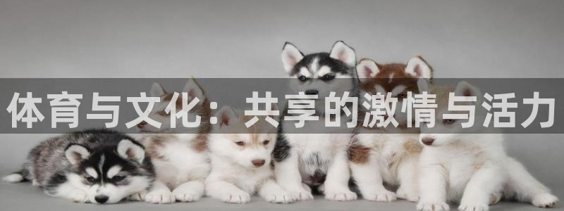 yy易游官网下载招商电话号码是多少：体育与文化：共享的激情与